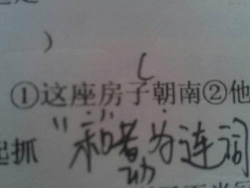 龙飞凤舞王当家，一生得意马大哈打一准确生肖仔细释义、解释与落实、实时解答解释落实