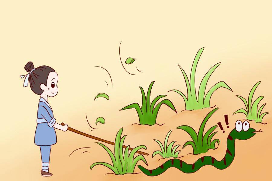 打草惊蛇打一准确生肖，详细解答、全面解答解释落实